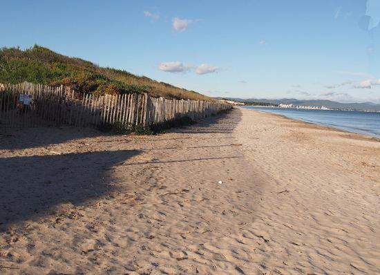 Bergerie Plage Renove Clim Balneo Plage Piscine Jardin Mediterraneen Hyères Eksteriør bilde