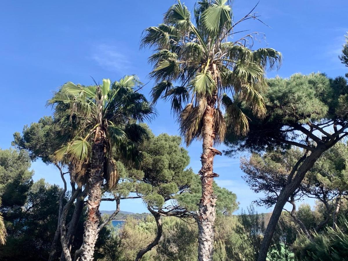 Bergerie Plage Renove Clim Balneo Plage Piscine Jardin Mediterraneen Hyères Eksteriør bilde